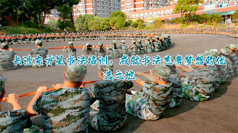 保定东方星书法培训，成就书法艺考梦想的优选之地