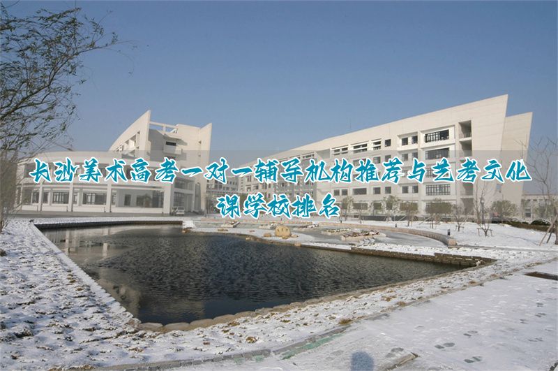 保定美术高考一对一辅导机构推荐与艺考文化课学校排名