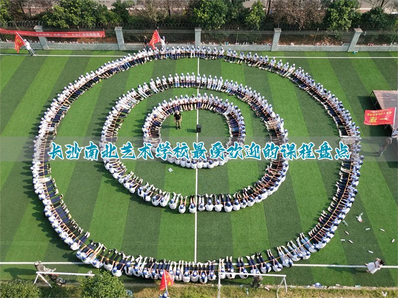 保定南北艺术学校最受欢迎的课程盘点