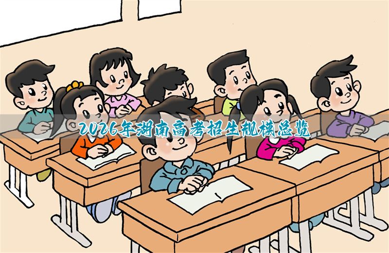 2026年河北高考招生规模总览