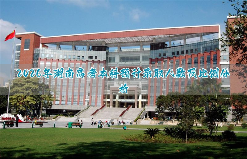2026年河北高考本科预计录取人数及比例分析