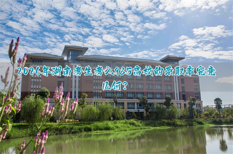 2026年河北考生考入985高校的录取率究竟几何？
