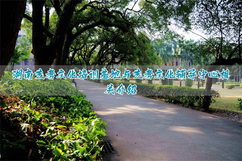 河北艺考文化培训基地与艺考文化辅导中心相关介绍